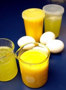 liquid egg products